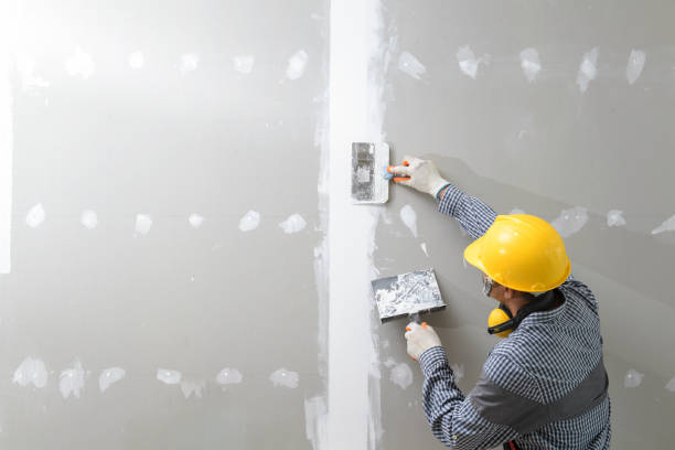 Best Drywall Sanding and Smoothing  in Kingston Springs, TN